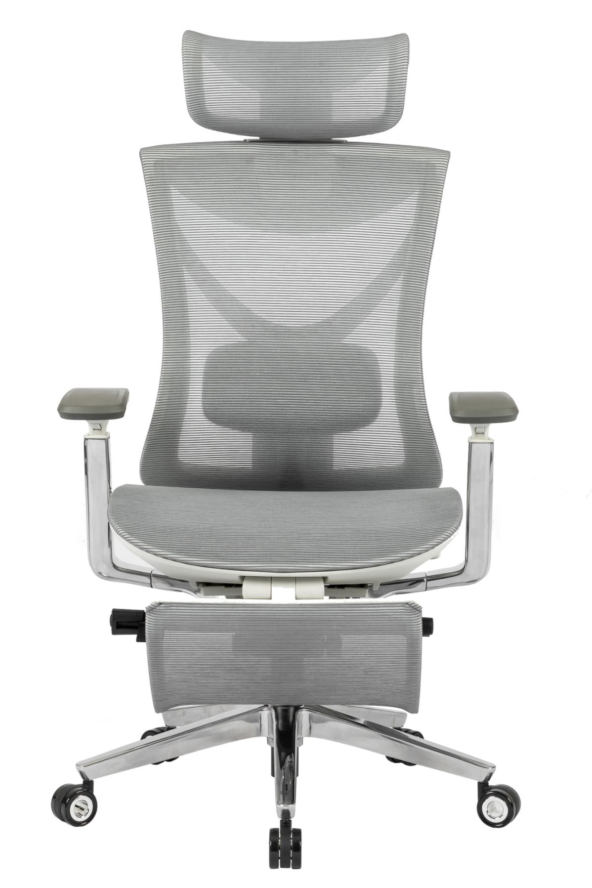 Крісло S1 Mesh Pro Max Senior ErgoChair Platinum Alpine Grey, фото 2