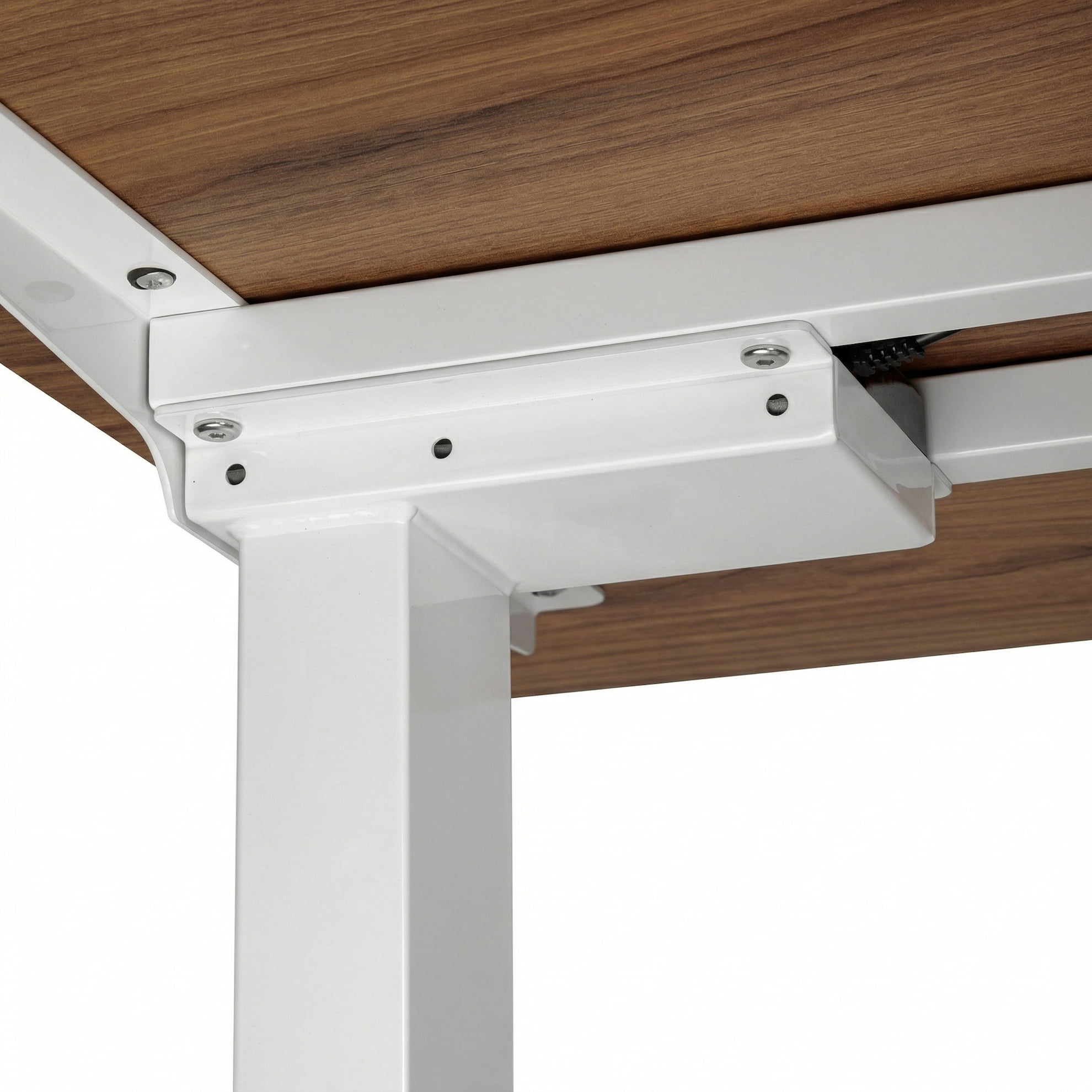 Регульований стіл AdapDesk Smart 2 Motor 18мм Golden Wood, Snow White, фото 6