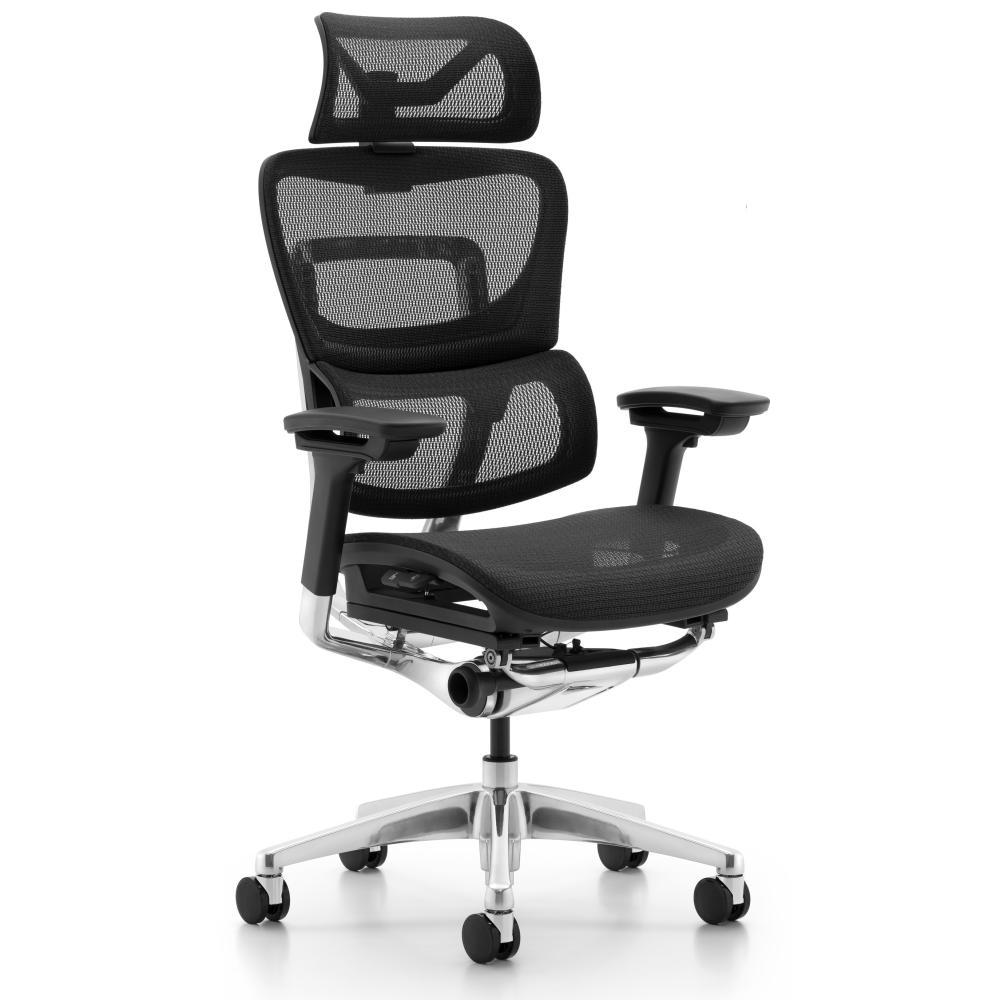 L1 Mesh Lead Ergochair Deep Black, photo 1
