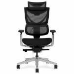 S3 Pro Senior ErgoChair Platinum Grafite Black