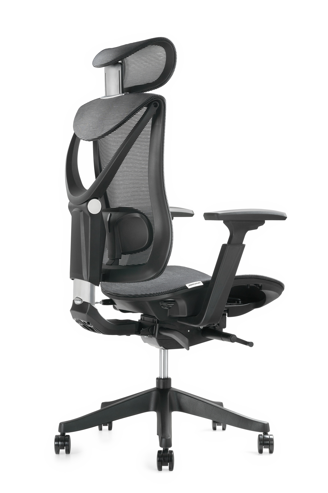 Ergonomic Chair ADAPWORK S1 Mesh Senior ErgoChair Deep Black from