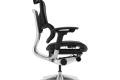 L1 Mesh Lead Ergochair Deep Black, photo 4 mini