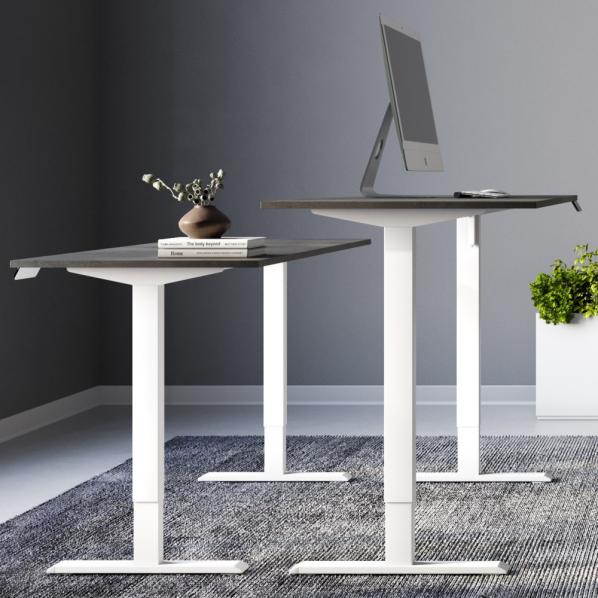 Регульований стіл AdapDesk Smart 1 Motor 18мм Smoky Gray, Snow White