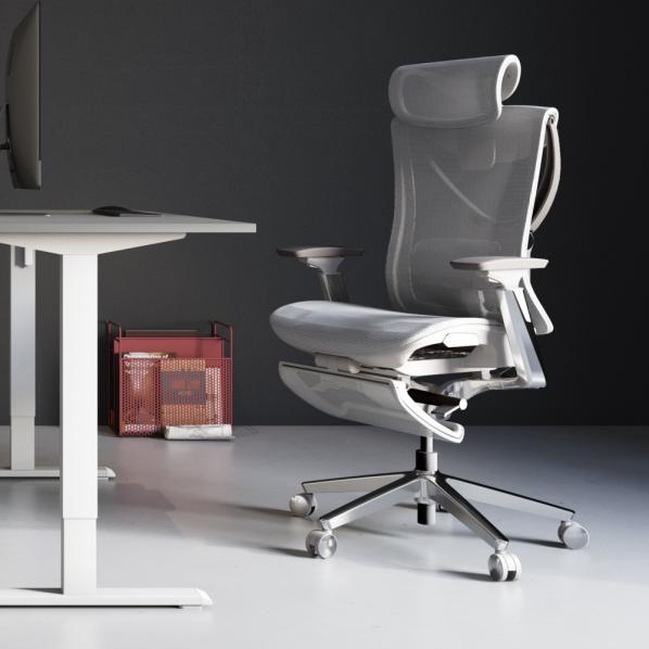 Ергономічне Крісло S1 Mesh Pro Max Senior ErgoChair Platinum Alpine Grey