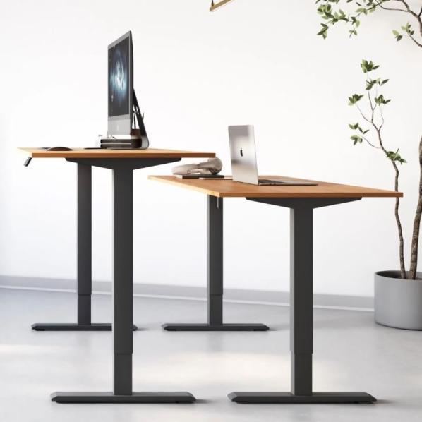 Ергономічне Регульований стіл AdapDesk Smart 1 Motor 18мм Golden Wood, Space Black